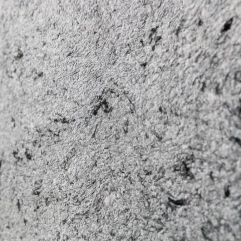 Wandpaneel NEU-S117 in Neuheiten